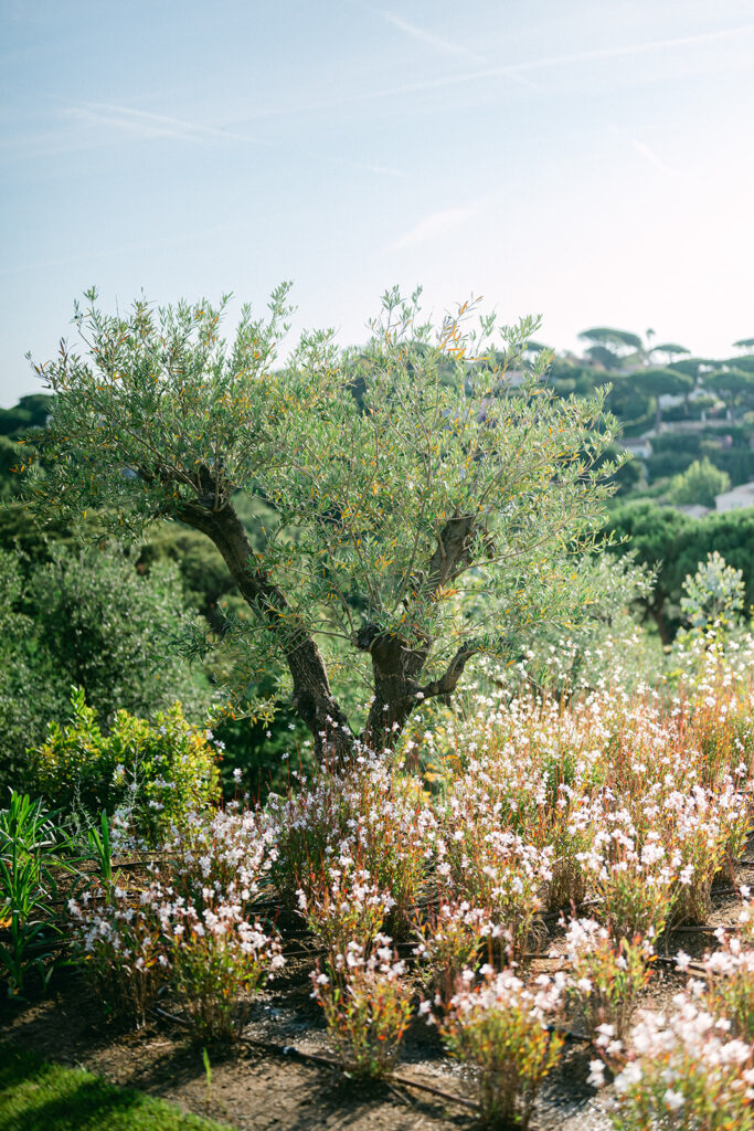 Engagement photo at Château de La Messardière in Saint-Tropez